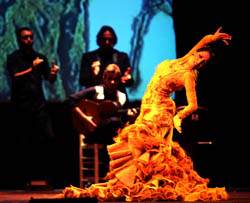 Bienal Flamenco